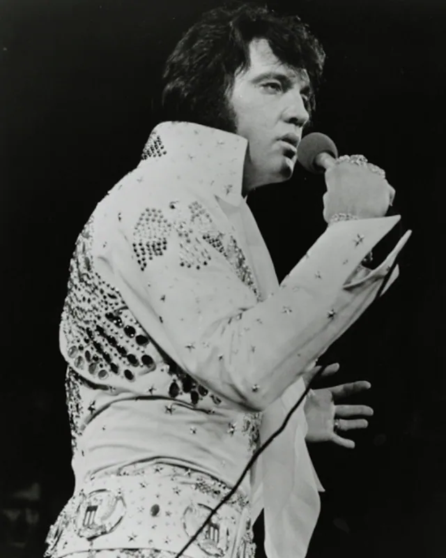 Elvis Presley人物肖像